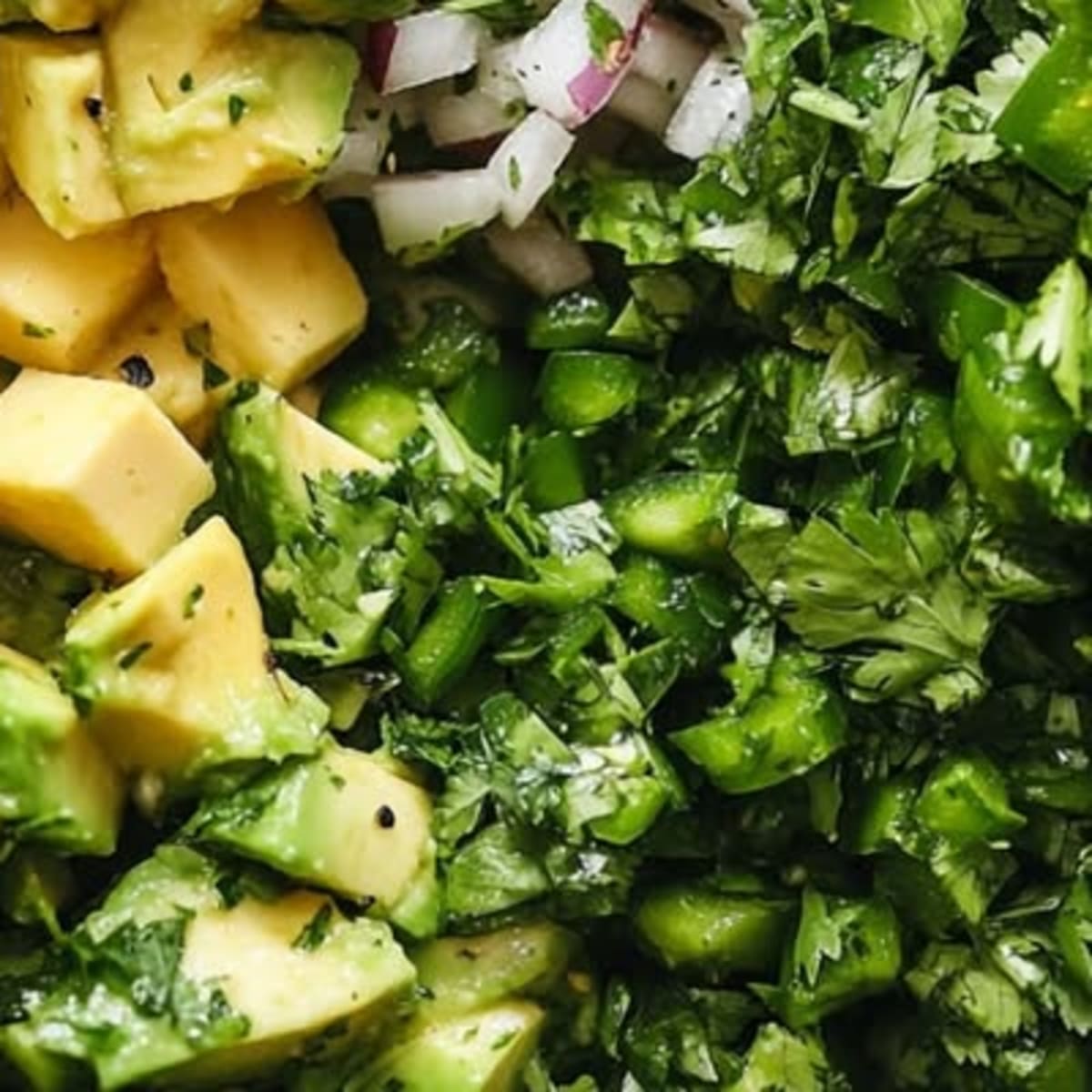 Salsa Avocat Poblano2