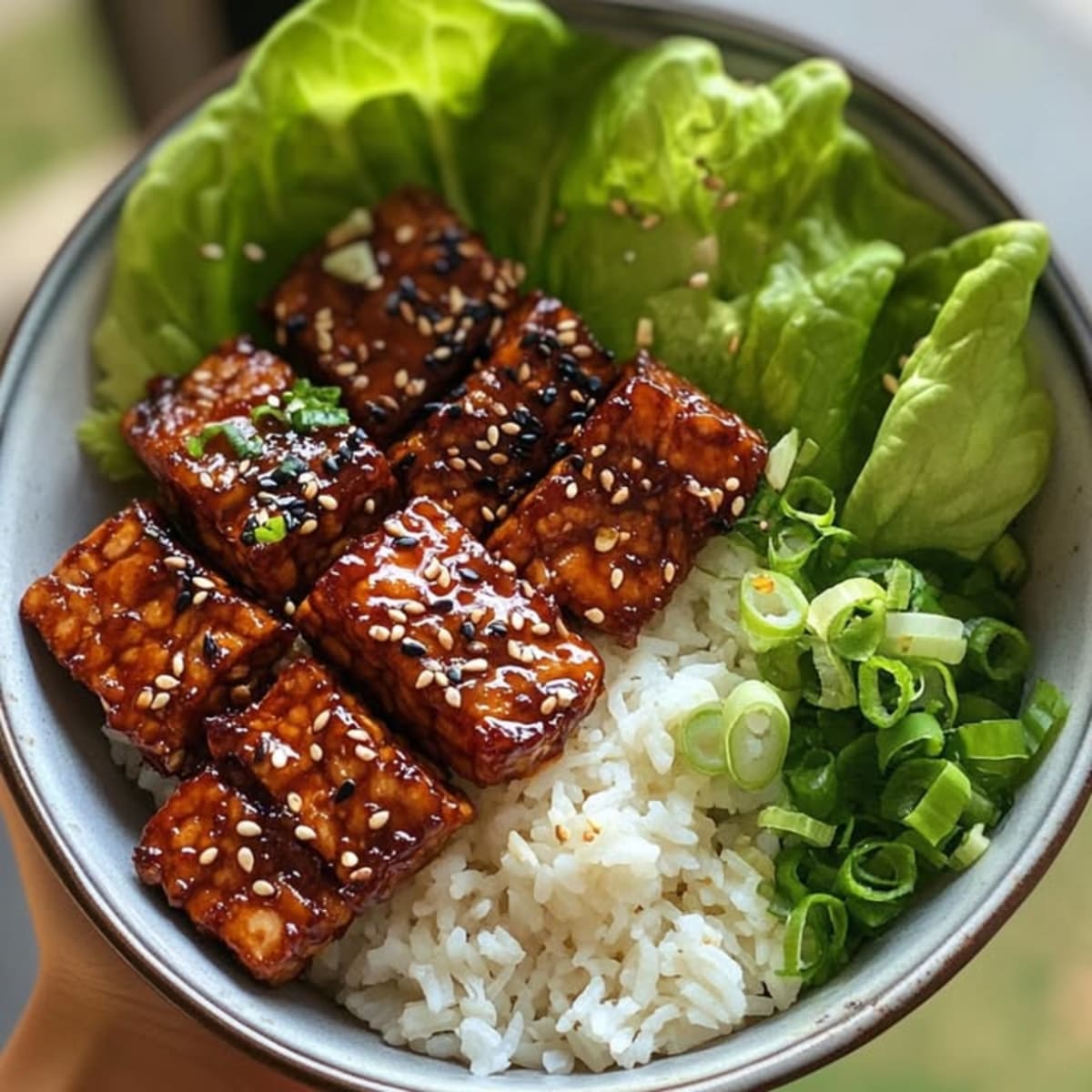 Tempeh Bulgogi Épicé