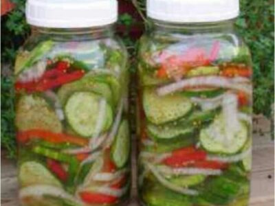 Salade Concombre Conserve : Recette Facile et Savoureuse