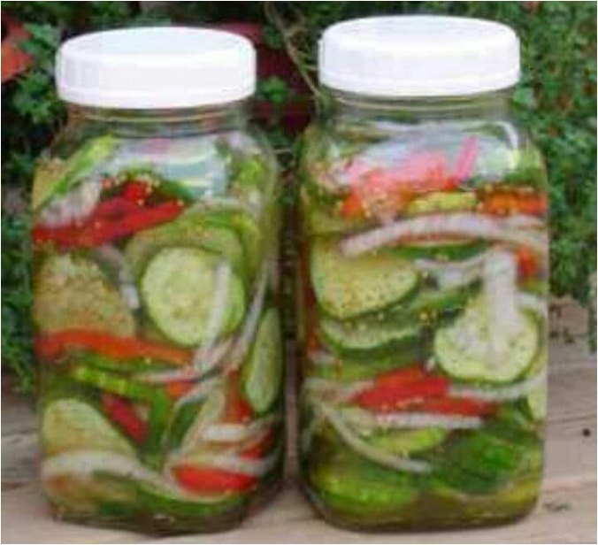 Salade Concombre Conserve : Recette Facile et Savoureuse 1 Salade Concombre Conserve