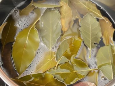 Recette Anti-Insectes Efficace et Facile à Faire