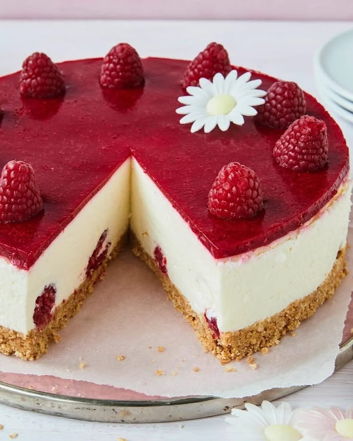 Gâteau Yaourt Framboise Sans Cuisson : Frais et Délicieux 2 g teau yaourt framboise sans cuisson